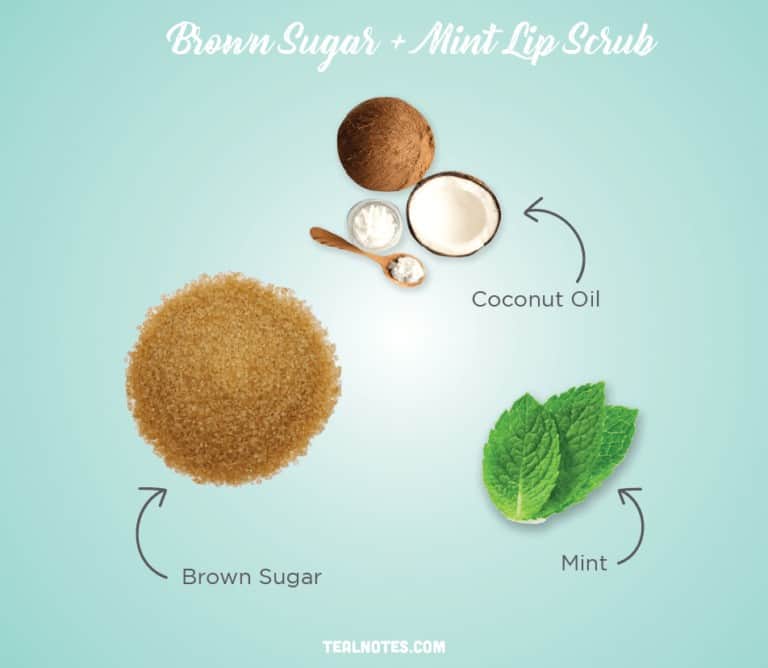 DIY Lip Scrub 27+ Easy Homemade Lip Scrub Recipes