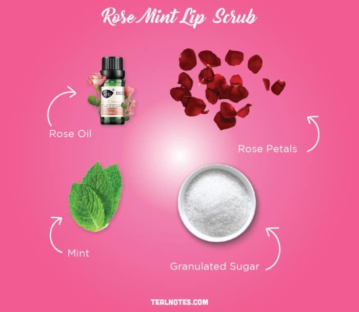 DIY Lip Scrub 27+ Easy Homemade Lip Scrub Recipes