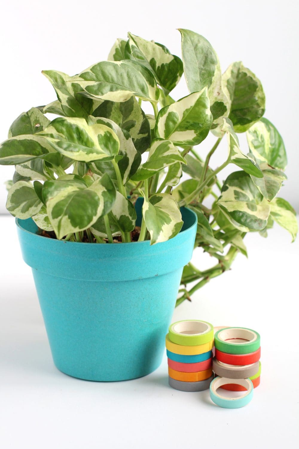 9 Genius Washi Tape Ideas You Can DIY At Home In 5 Minutes